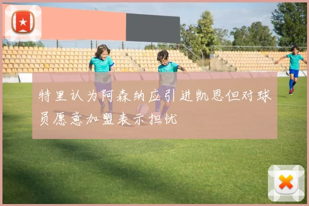 特里认为阿森纳应引进凯恩但对球员愿意加盟表示担忧