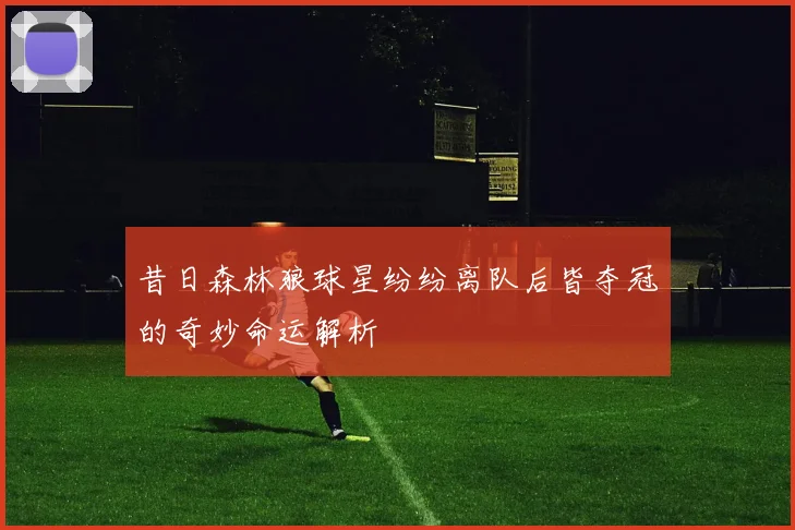 昔日森林狼球星纷纷离队后皆夺冠的奇妙命运解析